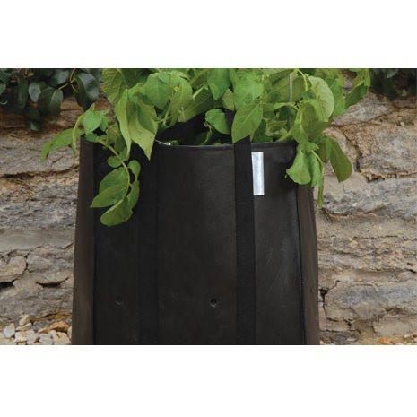 An image of Potato Planting Bag