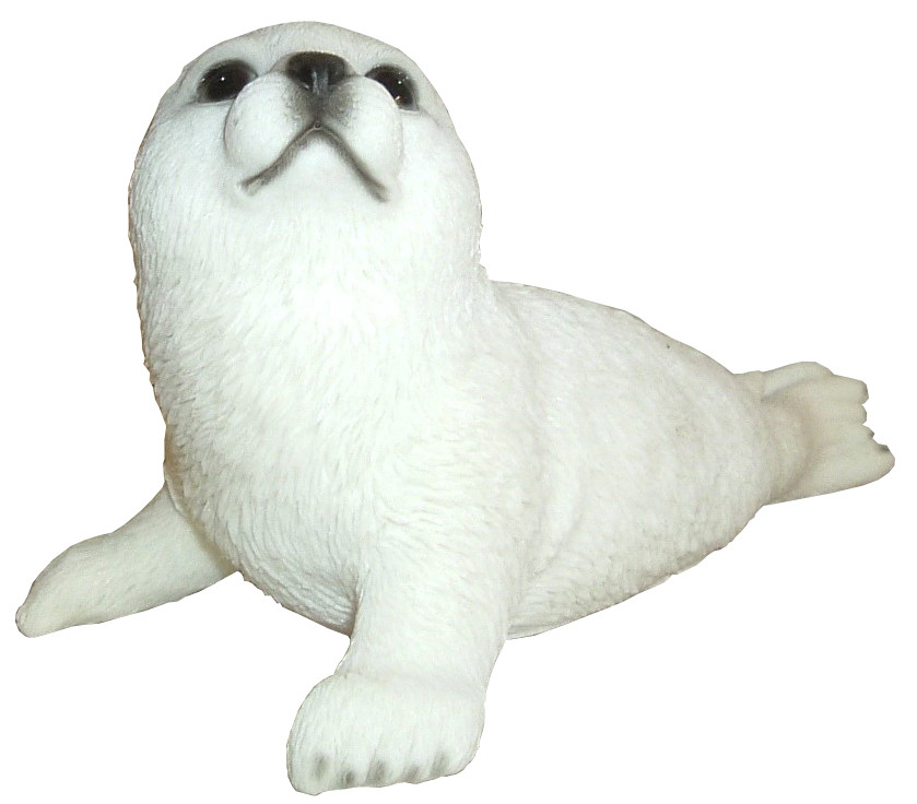 An image of Baby Seal Pup - Lying on Front