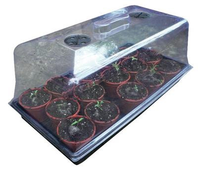 An image of ROOT!T Propagator Lids - Box of 18