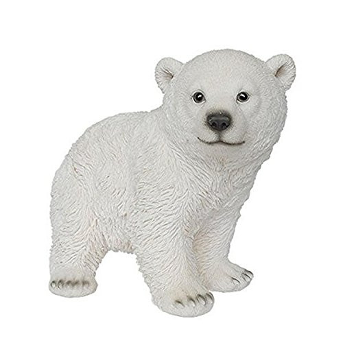 An image of Polar Bear Cub - Standing